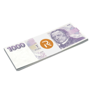 5 000 Kč
