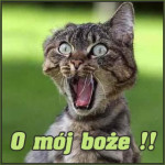 Iveta K.