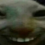 Petr V.