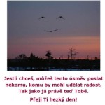 Lenka P.